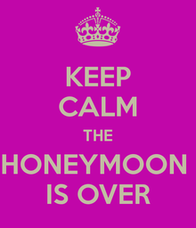 Misfit Entrepreneur - What to Do When Your Startup's Honeymoon is Over