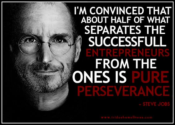 Steve Jobs Perserverance